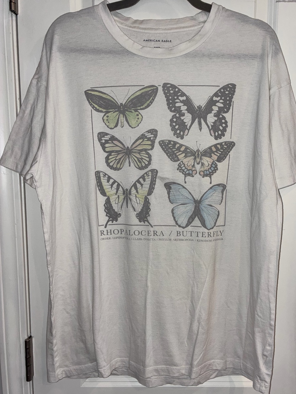 American Eagle Outfitters Women’s Off-White Butterfly Chart Graphic Tee
